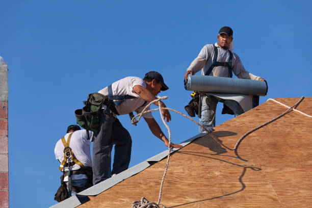 Best New Roof Installation  in Wilsons Mills, NC