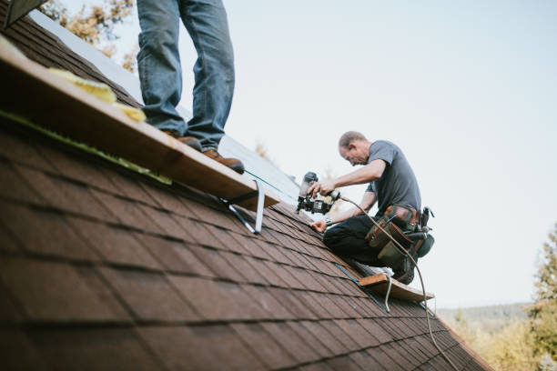 Professional Roofing Contractor in Wilsons Mills, NC